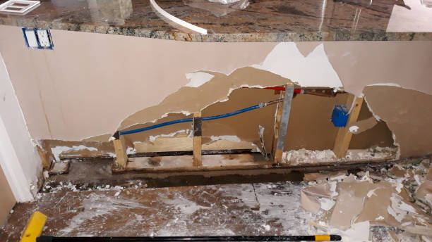 Best Local water damage restoration  in Flatwoods, KY
